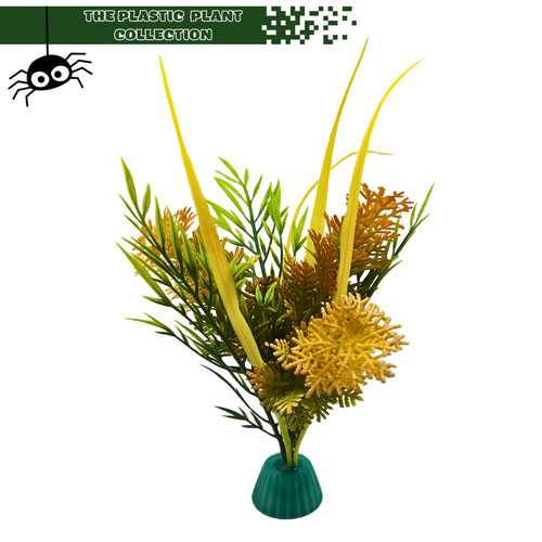 Display plants for frogs - plants,