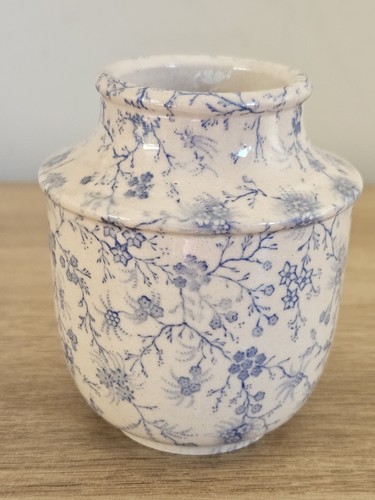 Vintage botanical blue cream - blue, &