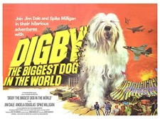 DIGBY THE BIGGEST DOG IN THE