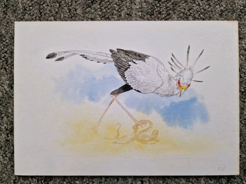 Original watercolour painting - original,