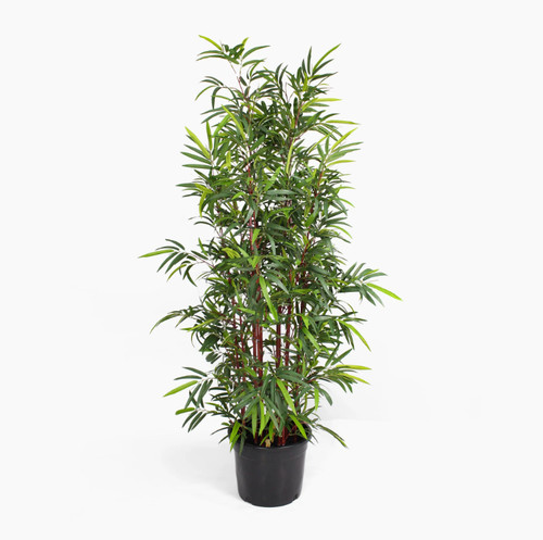 Blooming artificial damaged - blooming,