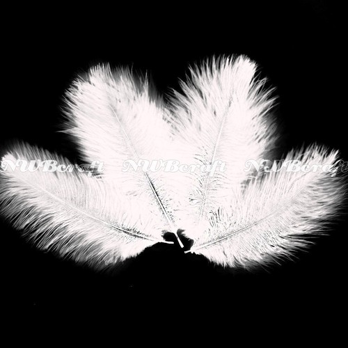 10pcs 20cm natural genuine - 15-20cm,