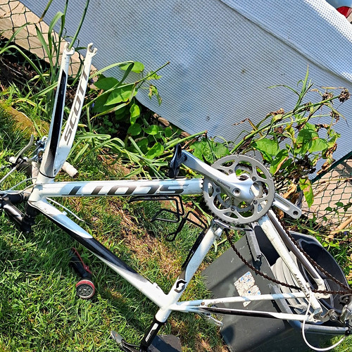 Scott speedster road bike - speedster,