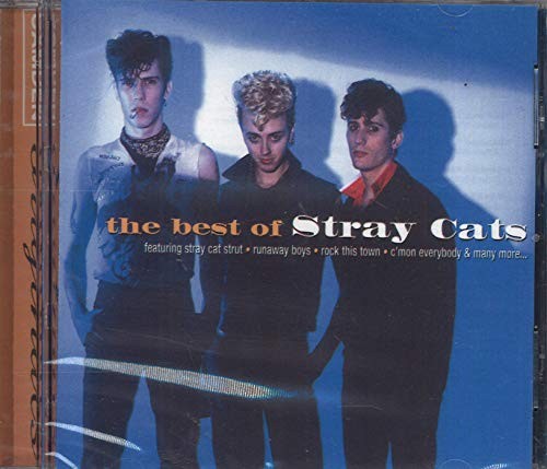 The best stray cats - of,