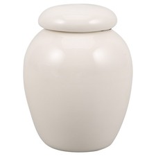  Porcelain Tea Canister