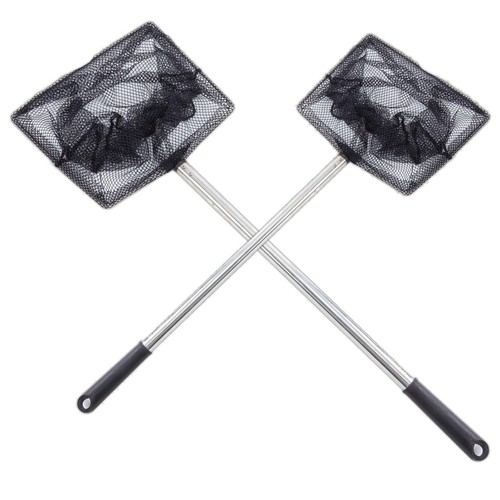 Bermuda pond net catch - bermuda,