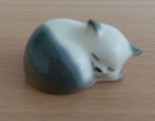 Szeiler studio pottery - studio, cat