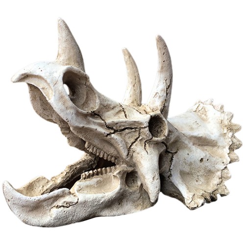 Reptile tank accessories fish - tank,