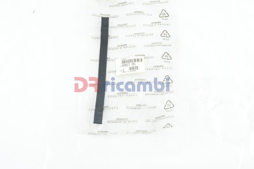 Rear seat safety - rear,