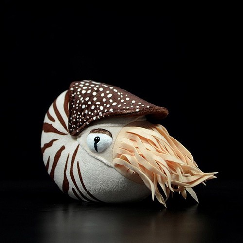20cm cute chambered nautilus - cute,