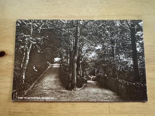 Postcard the plantation - the,