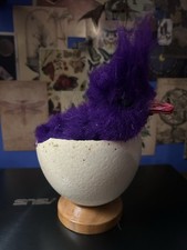 Terrible Taxidermy Ostrich Egg