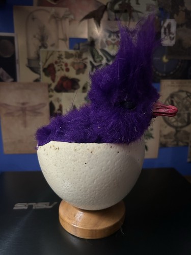 Terrible taxidermy ostrich - taxidermy, egg