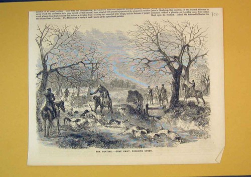 Original old antique print fox - original,