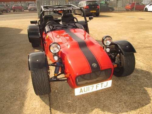 Tiger race cage - tiger,