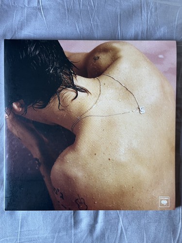 Harry styles - styles, 12"