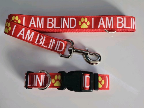 Handmade adjustable dog collar - adjustable,