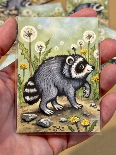 Jimothy raccoon dandelion - jimothy,