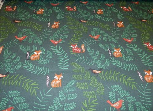 Foxy fern forest from fryetts - fern,