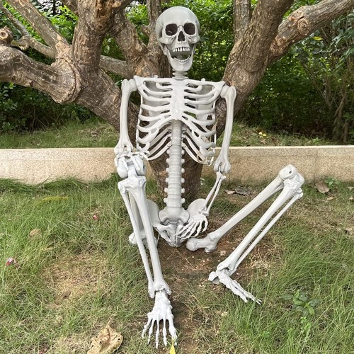 4ft halloween skeleton full - halloween,