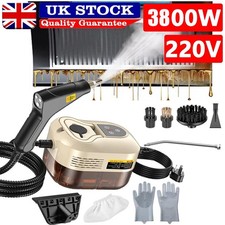3800W Portable Handheld Steam