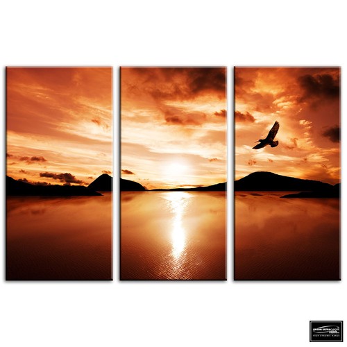 Bird lake sunset seascape - lake,