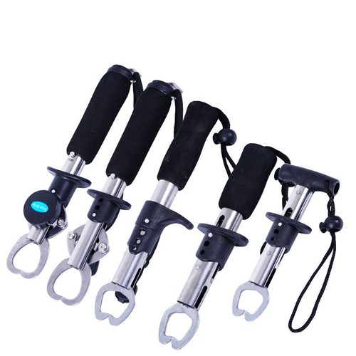 Stainless steel fish - stainless,
