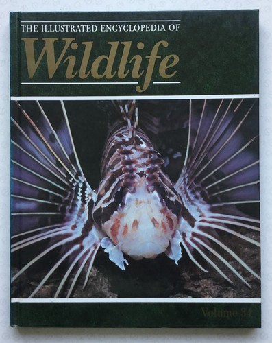 The illustrated encyclopedia - the,