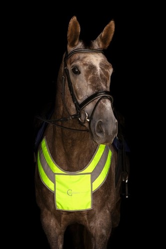Covalliero reflective - covalliero,
