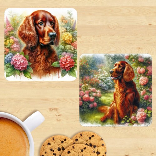 Irish setter coasters - setter,
