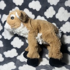 Center Parcs small Nutmeg