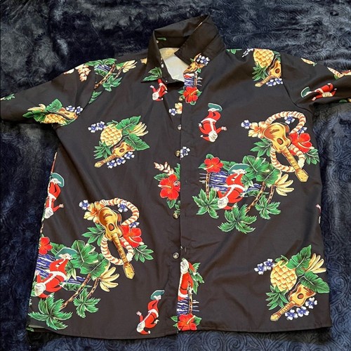 Surfing santa pineapple - surfing,