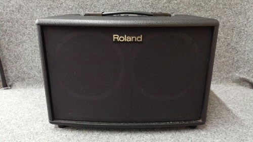 Roland acoustic amp - roland,