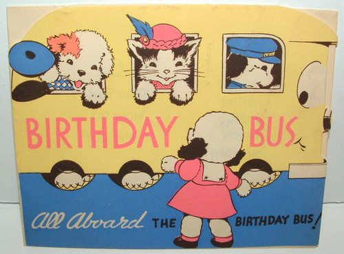 Dressed cats dogs bus - cats, dogs,