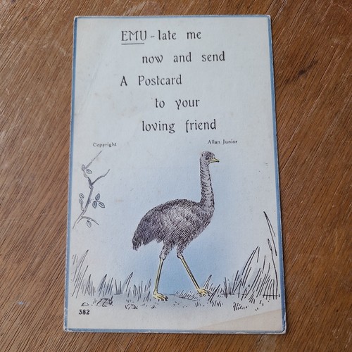 Vintage comic postcard - postcard, emu