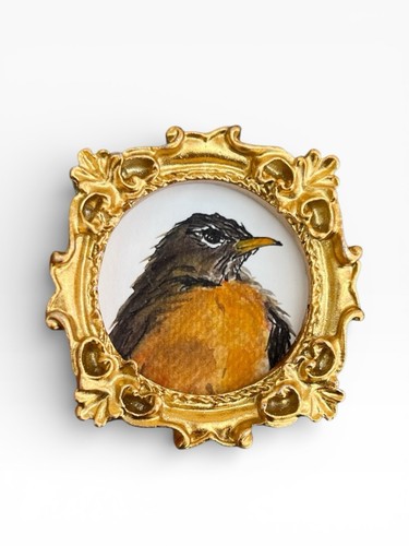 Teeny mini american robin - •,