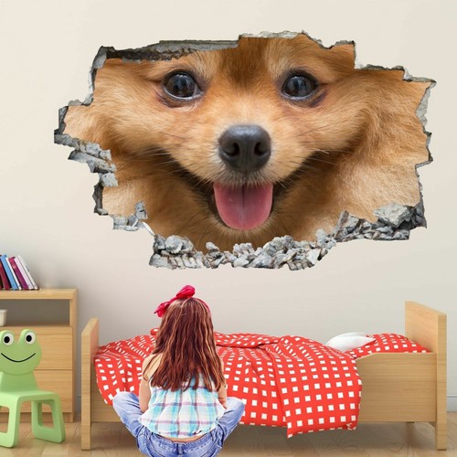 Pomeranian puppy dog - puppy, 3d