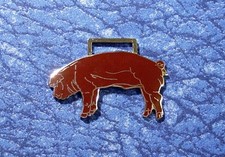 Red brown duroc - duroc, farm