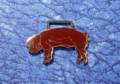 Red brown duroc - red/brown,