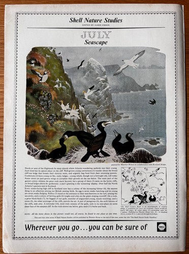 1960 art nature studies - 1960’s,