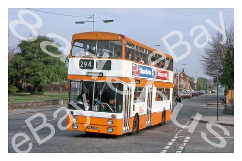 Bus photograph greater - photograph,