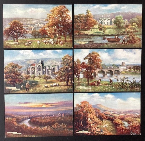 Tuck oilette postcard set - postcard, 6