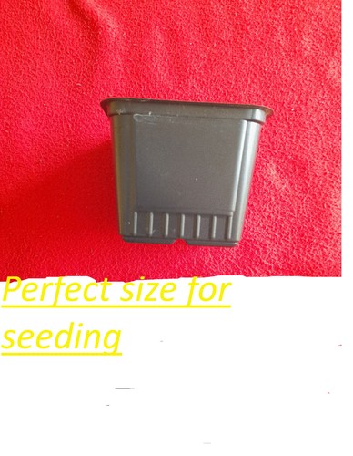 Square plant pots rigid - rigid, 7cm