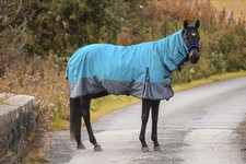 Outdoor Winter Turnout Horse