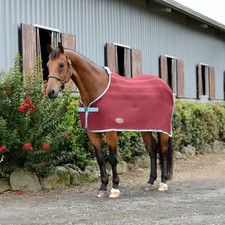 WeatherBeeta Scrim Cooler