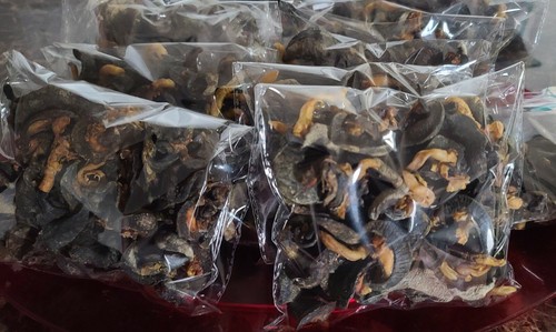 Oven dried snail - oven, pieces