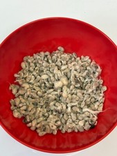 Premium Cotton Seeds – Raw &