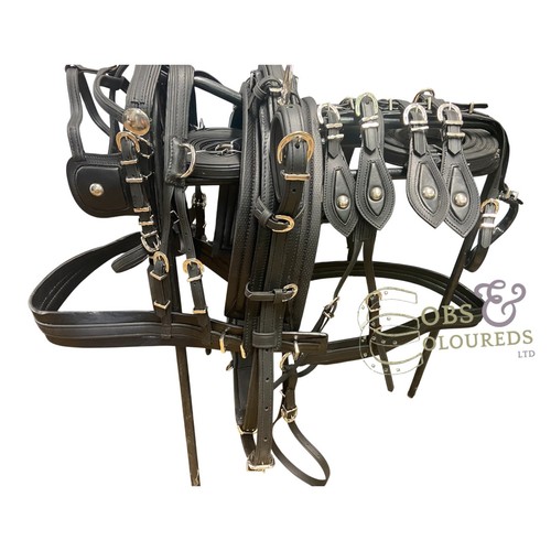 Biothane driving harness - driving,