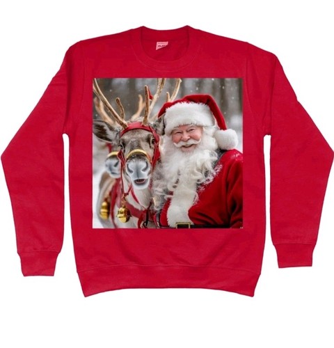 Christmas santa jumper - santa,