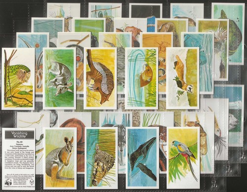 Brooke bond full set - (tea)-full, set-
